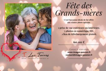 Séance photo pour les fêtes image 2