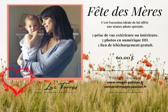 Séance photo pour les fêtes image 3