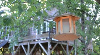 Séjour en famille dans une cabane perchée dans les arbres image 10