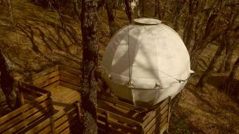 Séjour dans une bulle suspendue dans les arbres image 5