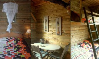 Séjour en famille dans une cabane perchée dans les arbres image 5