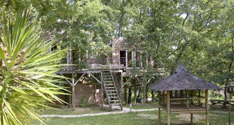 Séjour en famille dans une cabane perchée dans les arbres image 9