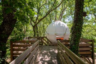 Séjour dans une bulle suspendue dans les arbres image 1