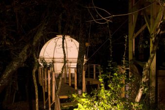 Séjour dans une bulle suspendue dans les arbres image 6