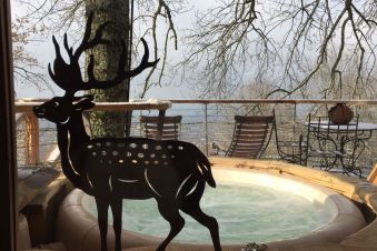 Nuit dans la cabane perchée "Les pitons" avec Spa, pour deux personnes image 2