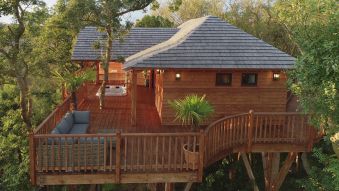 Séjour romantique - Cabane de Prestige avec Jacuzzi et Sauna privatifs image 15