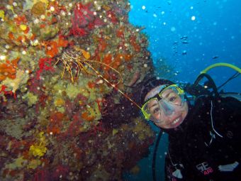 Basic Diver Flash (1 plongée technique + 1 plongée d'exploration) image 8