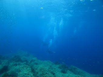 Basic Diver Flash (1 plongée technique + 1 plongée d'exploration) image 3