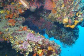 Basic Diver Flash (1 plongée technique + 1 plongée d'exploration) image 7