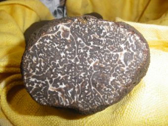 A LA POURSUITE DU DIAMANT NOIR EN BUGEY (Ain) image 15