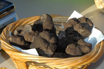 A LA POURSUITE DU DIAMANT NOIR EN BUGEY (Ain) image 14