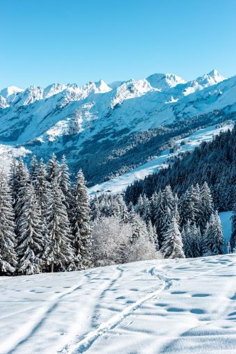 Ski de randonnée : Initiation à La Clusaz image 3