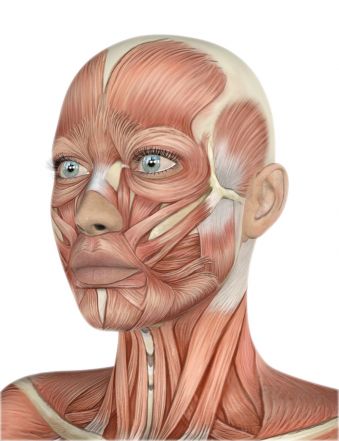 NOUVEAU MASSAGE DU VISAGE : Stretching du Visage by Laury Beauté image 2
