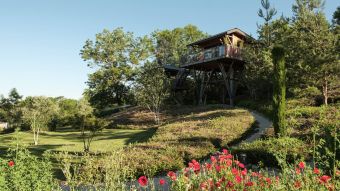Séjour en cabane de luxe "La Réserve" et dégustation de vins image 1