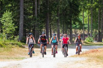 1/2 day ebike trip image 3
