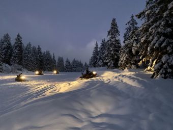 Randonnée Nocturne en Forêt - 1h image 2