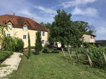 Séjour en chambre d'hôte au coeur du vignoble de Château-chalon chez un paysan vigneron image 5