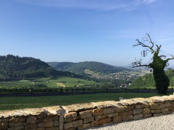 Séjour en chambre d'hôte au coeur du vignoble de Château-chalon chez un paysan vigneron image 7