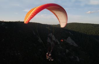 Vol Coccin'Ailes image 2