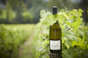 Wine Tasting image 1