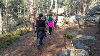 10 séances de marche nordique en forêt de Fontainebleau image 1
