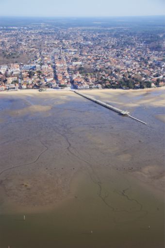 Survol en avion du bassin d'Arcachon image 5
