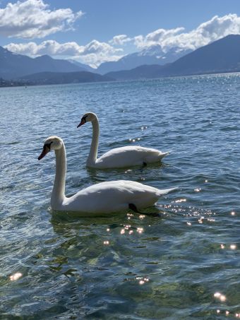 Week-end romantique image 2