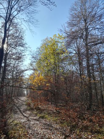 Séjour pour se reconnecter à soi et à la nature image 1