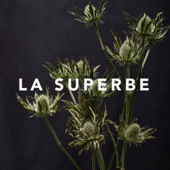 Bon cadeau 200€ image 1