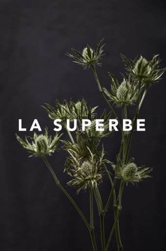 Bon cadeau 50€ image 1