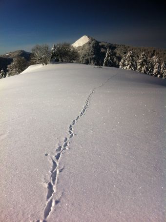 Séjour détente à la montagne image 3