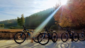 1 LOCATION VTT ELECTRIQUE suspension avant image 1
