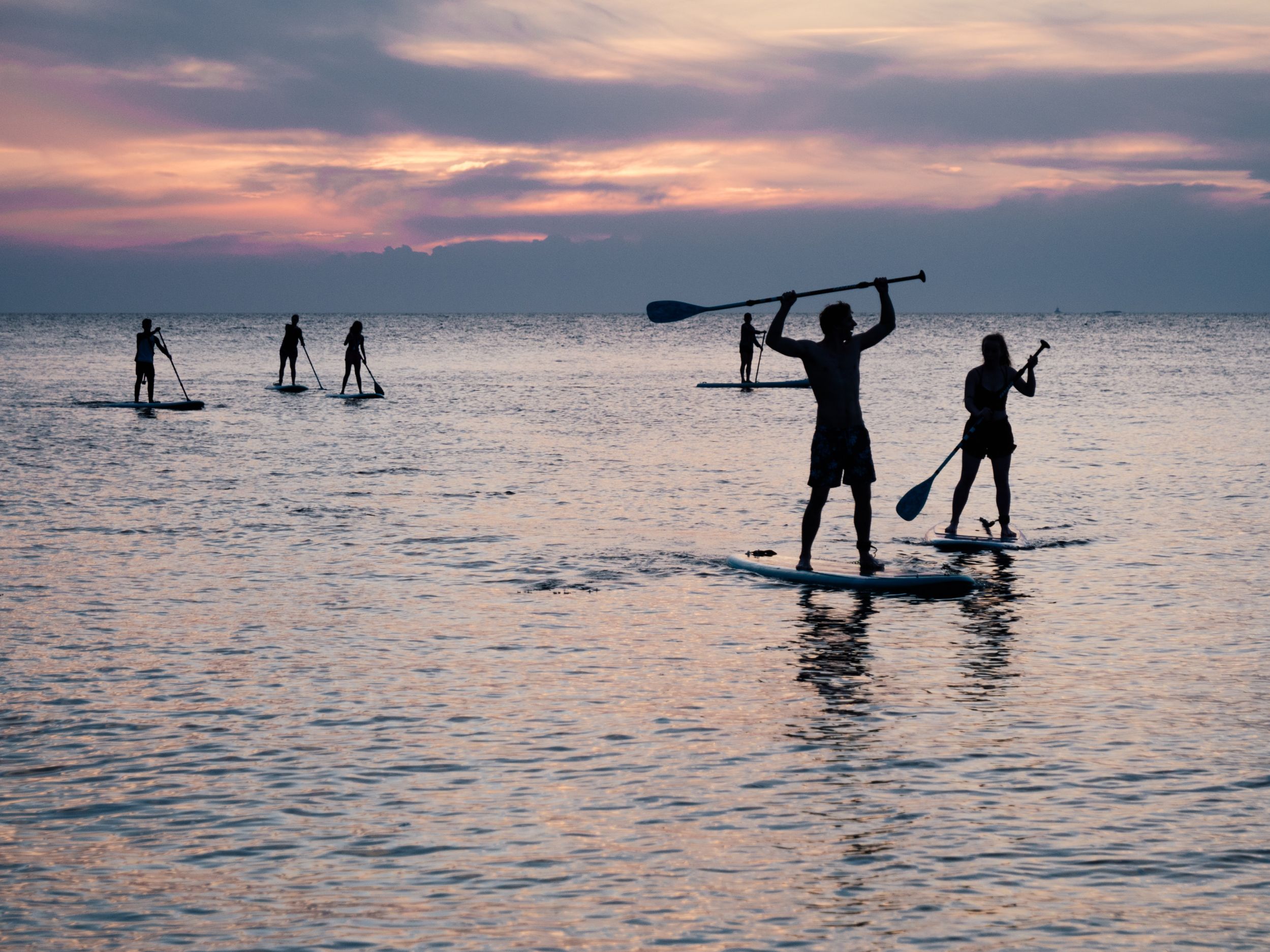 image Paddle
