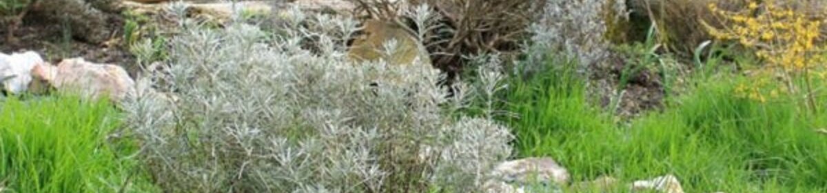 Bon cadeau Lodge Massérac