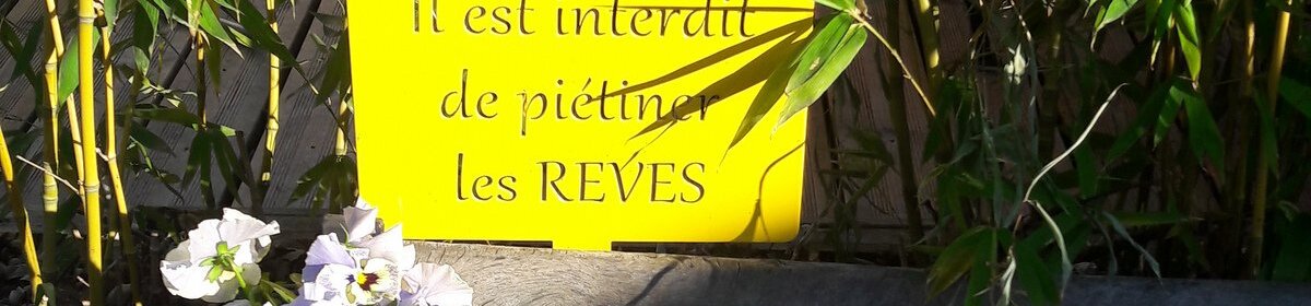 Bon cadeau Cabane dans les arbres Barjac