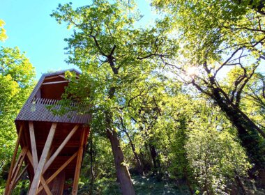 Bon cadeau Cabane dans les arbres Lyon