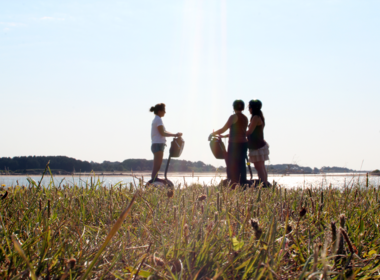 Bon cadeau Activités natures Lorient