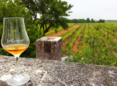 Bon cadeau Oenologie Saint-Félix-de-Reillac-et-Mortemart