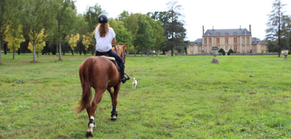 Bon cadeau Équitation Paris