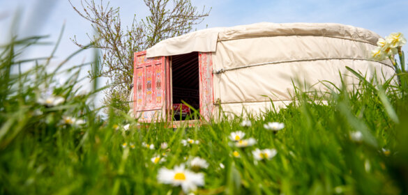 Bon cadeau Yourte Farbus