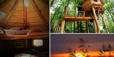 Bon cadeau Cabane dans les arbresVosges