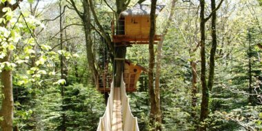 Bon cadeau Cabane dans les arbresBretagne