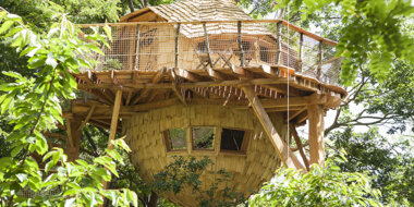 Bon cadeau Cabane dans les arbresLa Chapelle-aux-Naux