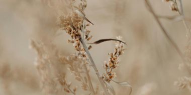 Bon cadeau Soins CorpsSeynod