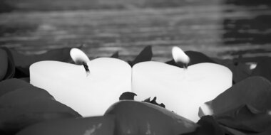 Bon cadeau MassageCalan