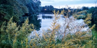 Bon cadeau Repas gourmandsVions