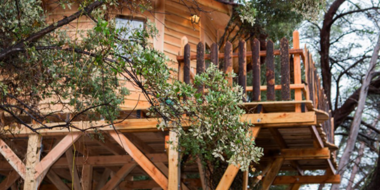 Bon cadeau Cabane dans les arbresVar