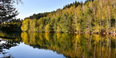 Bon cadeau Séjours montagneSaulxures-sur-Moselotte