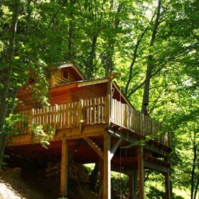 Bon cadeau Cabane dans les arbres Chambéry
