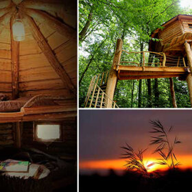 Bon cadeau Cabane dans les arbres La Chapelle-aux-Bois